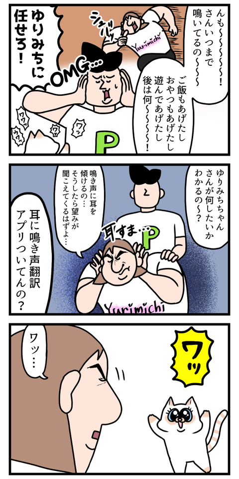 猫飼いが良くやると思う茶番