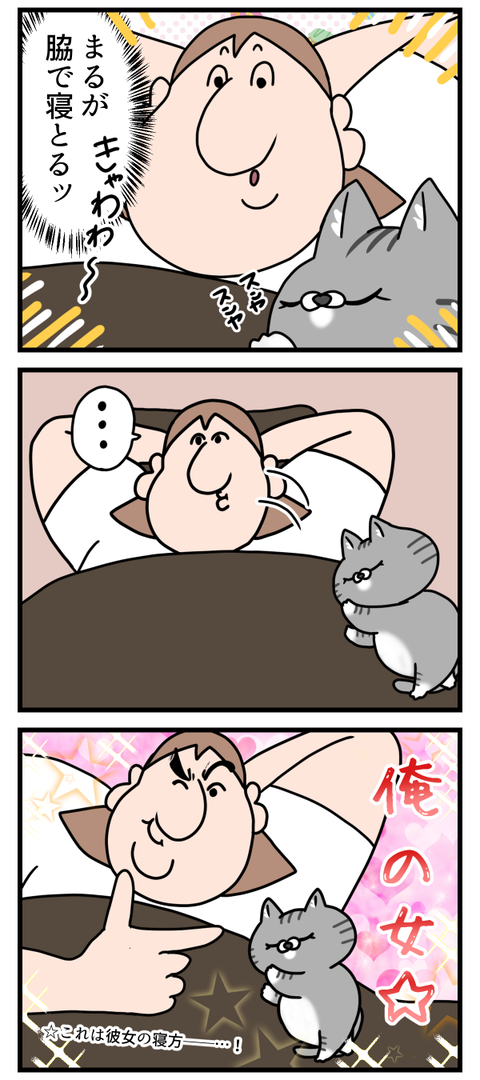 今日からこいつ、俺の彼女☆2