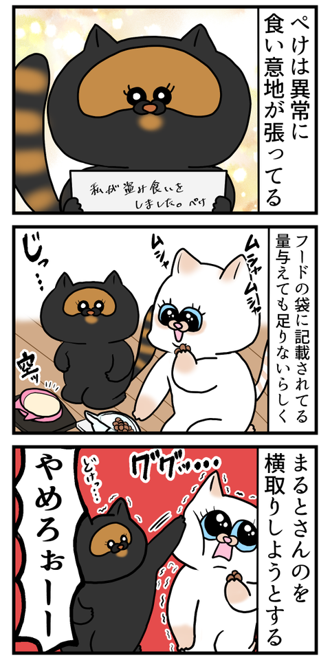 食い意地張りすぎて目がやばい猫