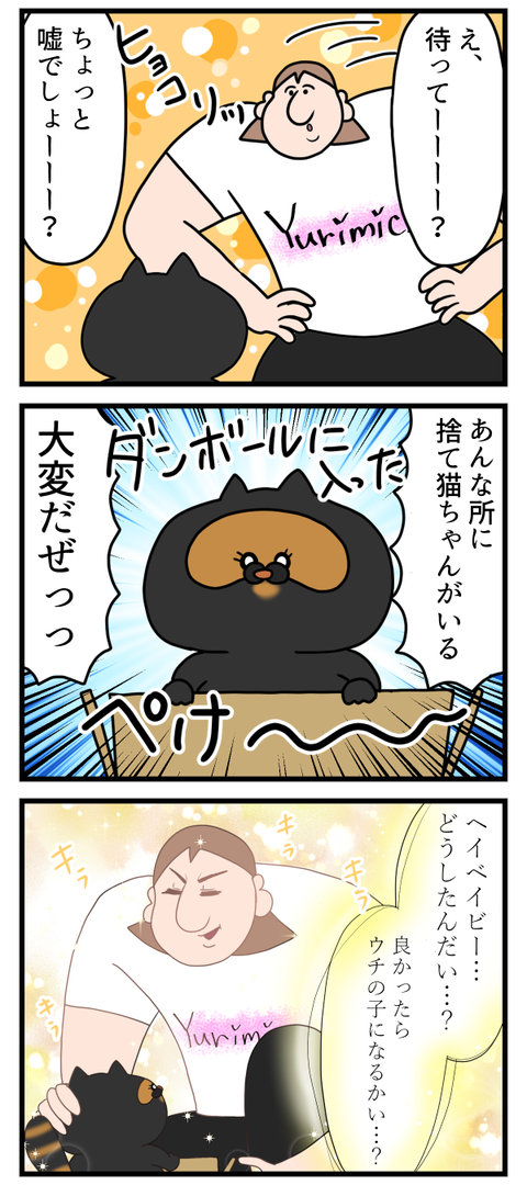 猫飼いがよくやると思う茶番NO.2