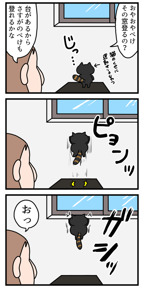期待を裏切らない猫