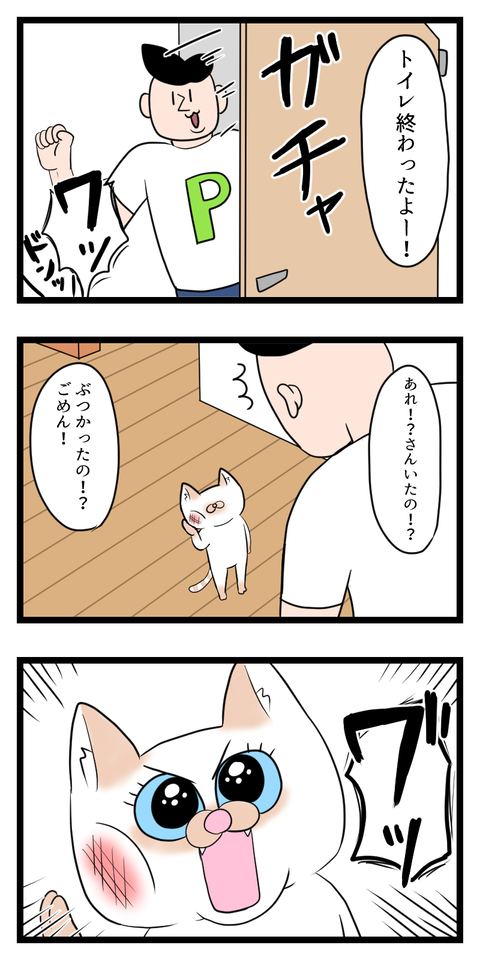 猫と張り合う人間君