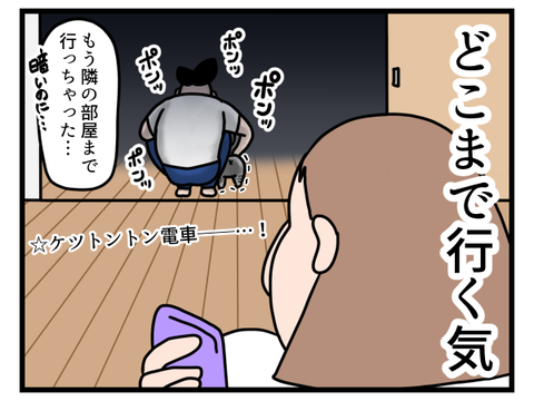 猫ちゃんの新しい移動方法3