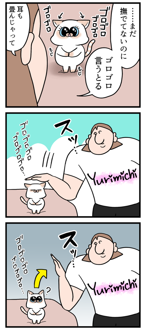甘えん坊なのバレバレなネッコ2