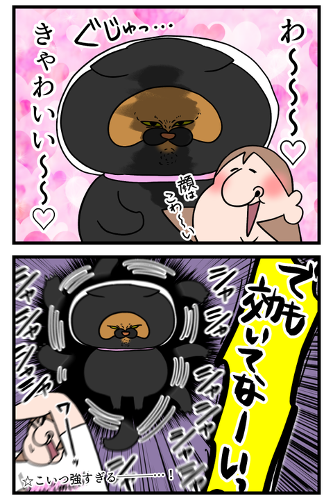 爪切り嫌いの猫を大人しくさせる方法試してみた2