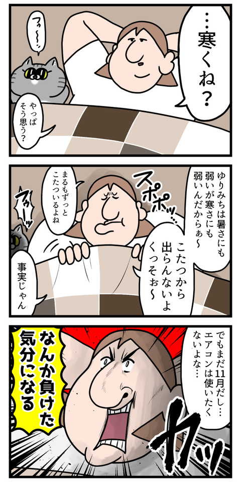 寒いけどエアコン使うには微妙な時期の戦闘服