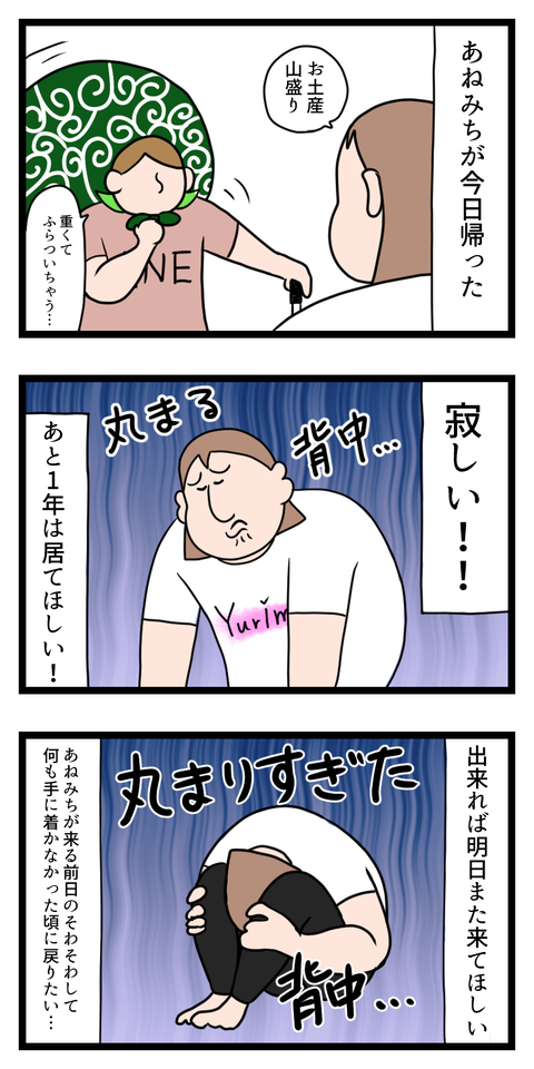 あねみち帰っちゃった…