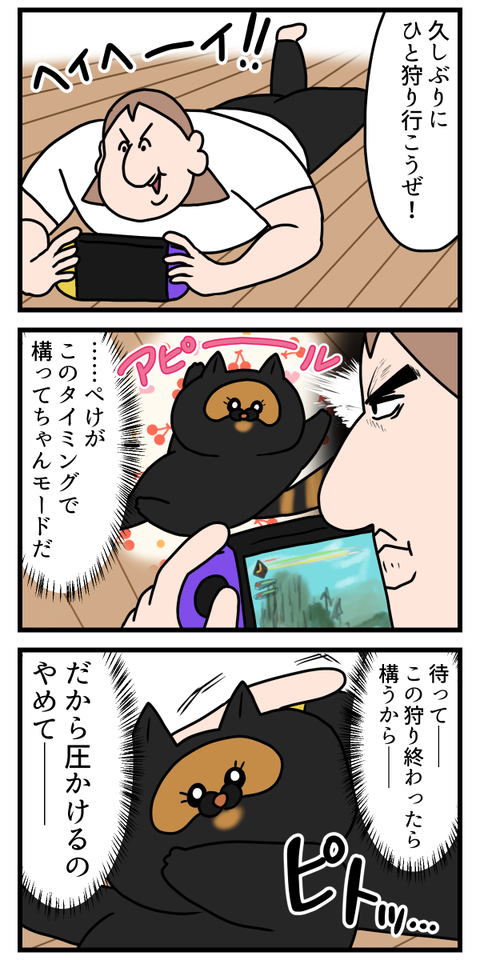 猫の控えめな構ってちゃん行動