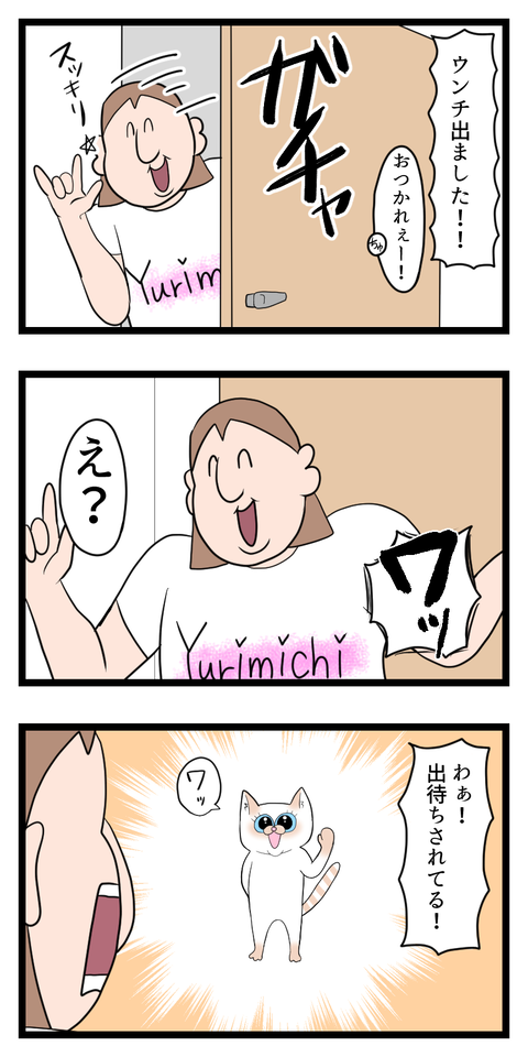 出待ちしてくる猫