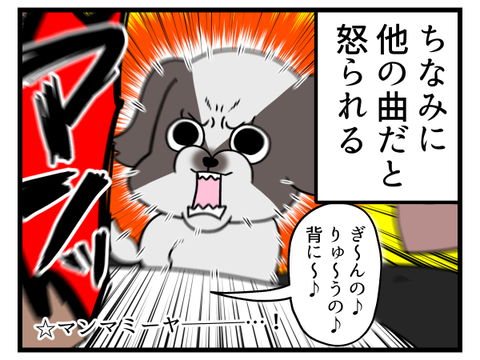 我が家の犬がドライヤー時大人しくなる方法2