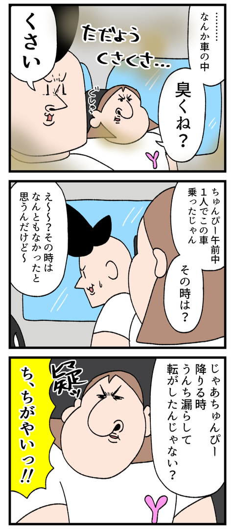 車の中が臭くてね
