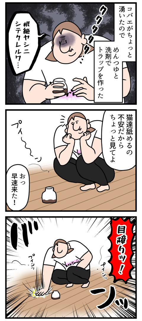 手作りコバエホイホイ試してみた