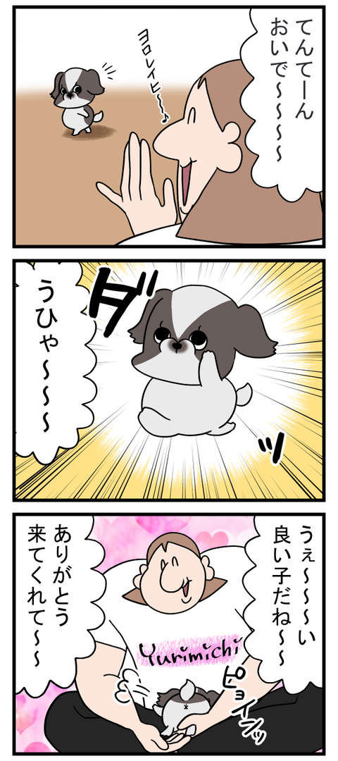 可愛いけどまだ慣れてない要素