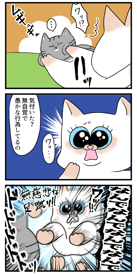 何が不満なのかわからない猫2
