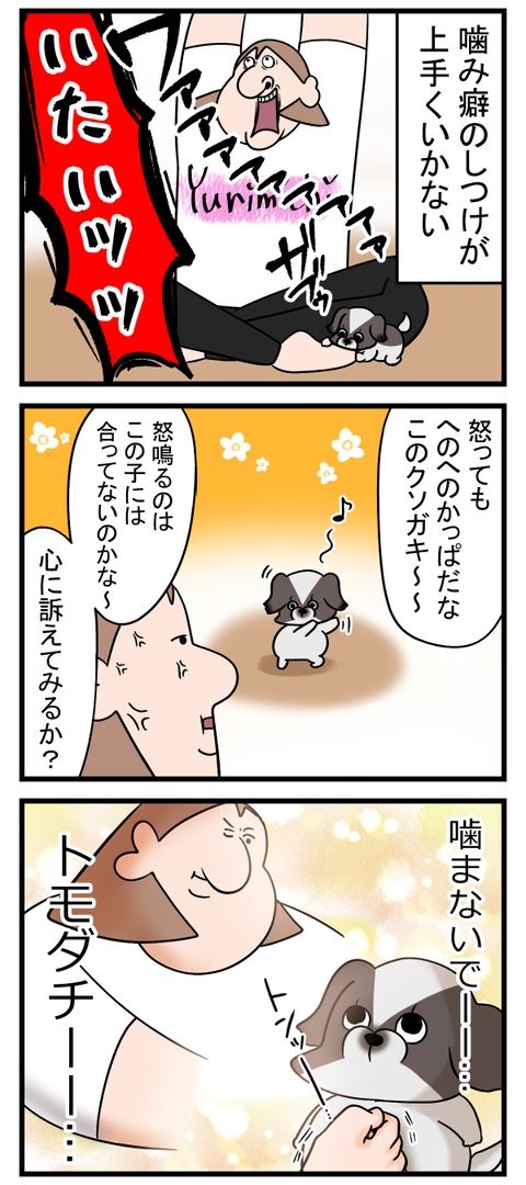しつけって本当に難しい