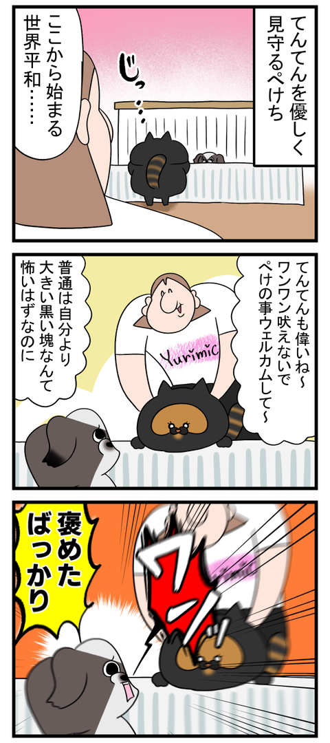 お姉さんになった猫、根っこは変わらずで安心