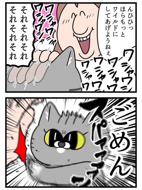 猫ちゃんを簡単にワイルドにする方法2