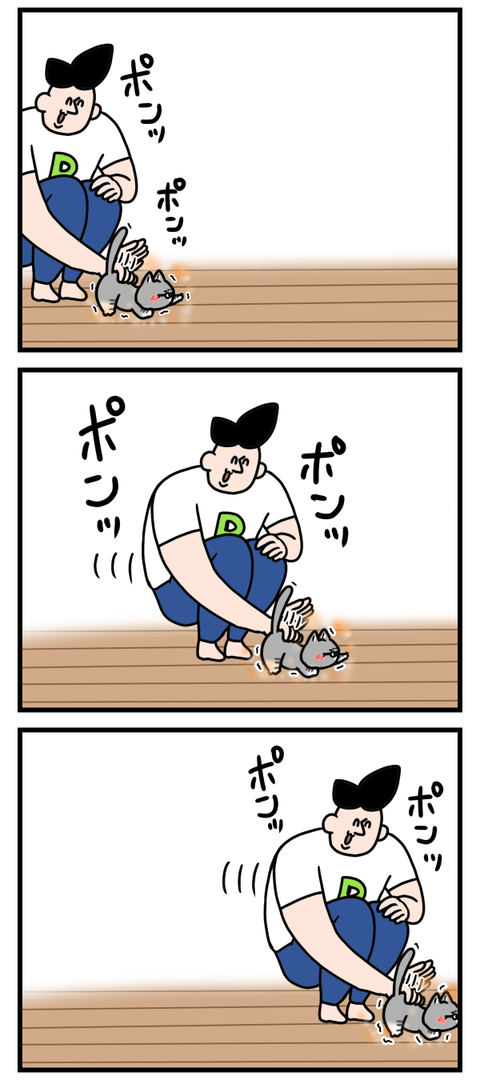 猫ちゃんの新しい移動方法2