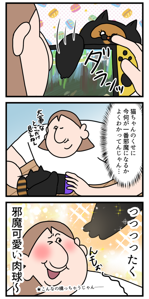 猫の控えめな構ってちゃん行動2