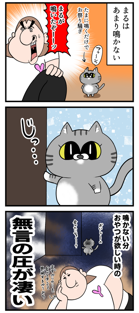 あまり鳴かない猫