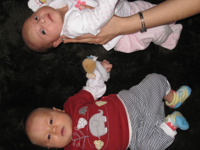 同級生 雛とノアのいるｎｚの生活