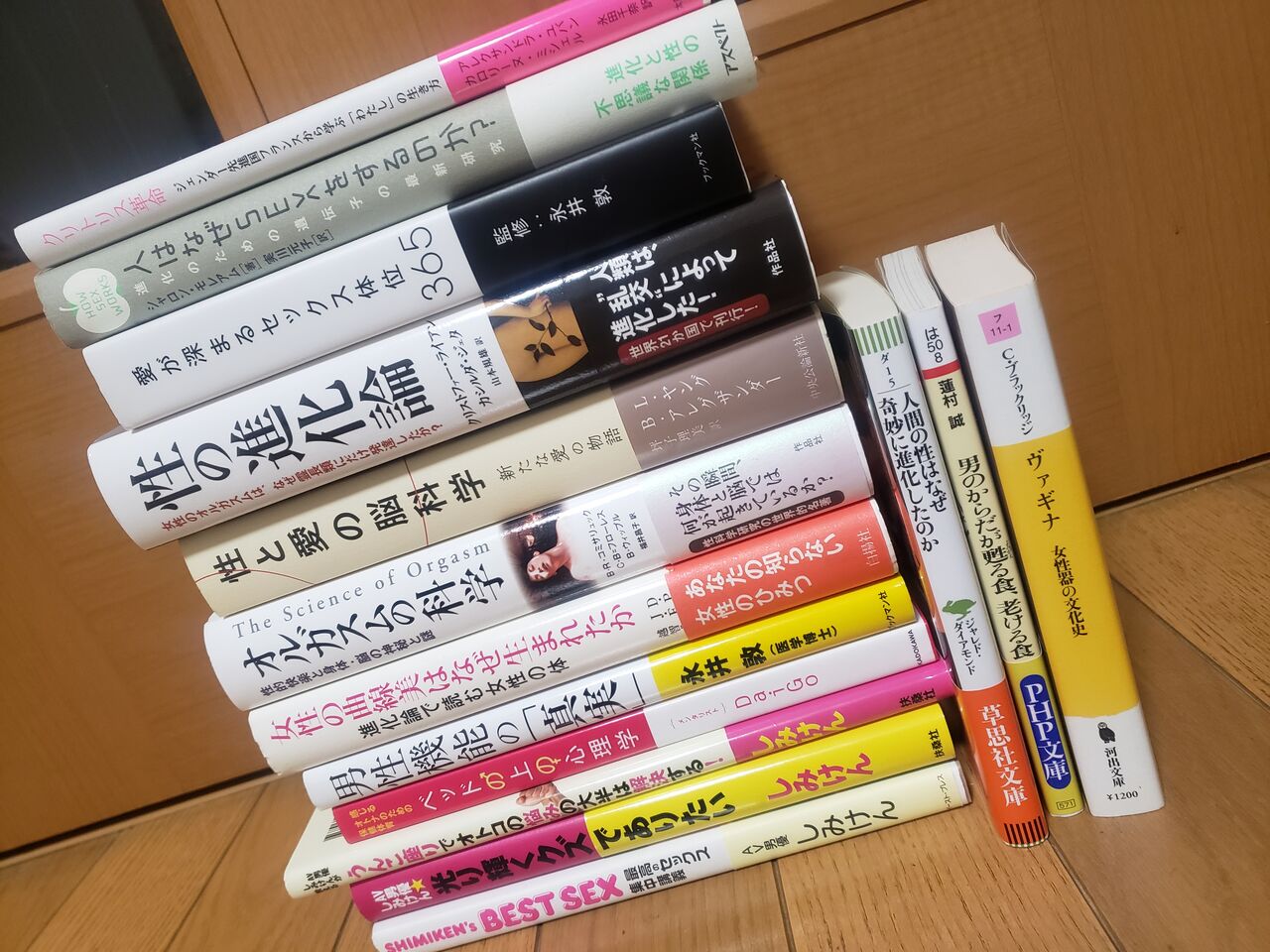 性への好奇心 百合の園 瀬戸 せと のブログ