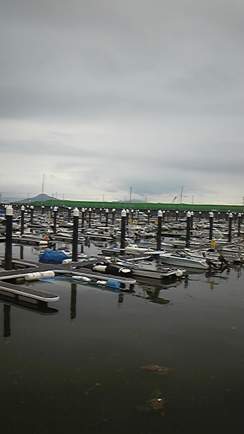 2d15032f.jpg