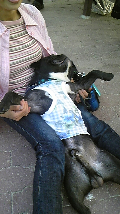 ef8e1f8b.jpg