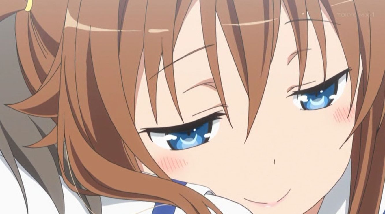はいふり もかちゃん ミケちゃん どうしてすぐに助けに来てくれなかったの そこのシロちゃんとかいう娘のせい がるおんちゃんねる