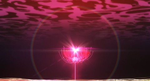 WS002721