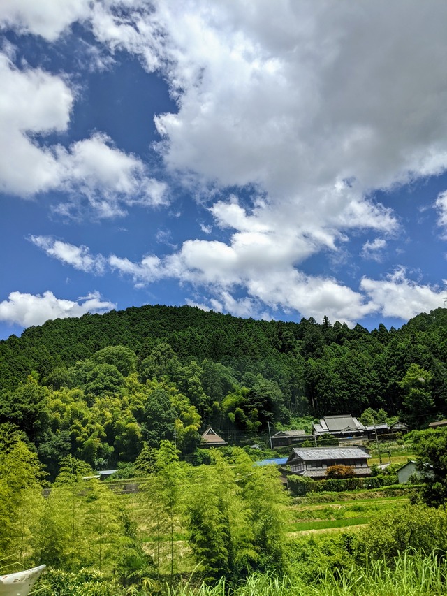PXL_20210719_024325076~2