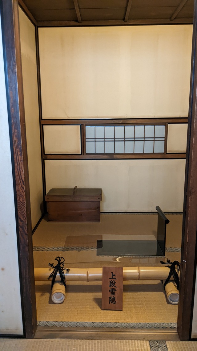 PXL_20231105_032359982