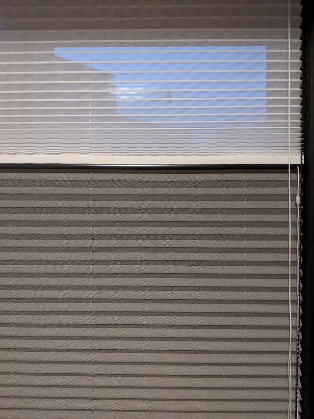 PXL_20210503_100411881