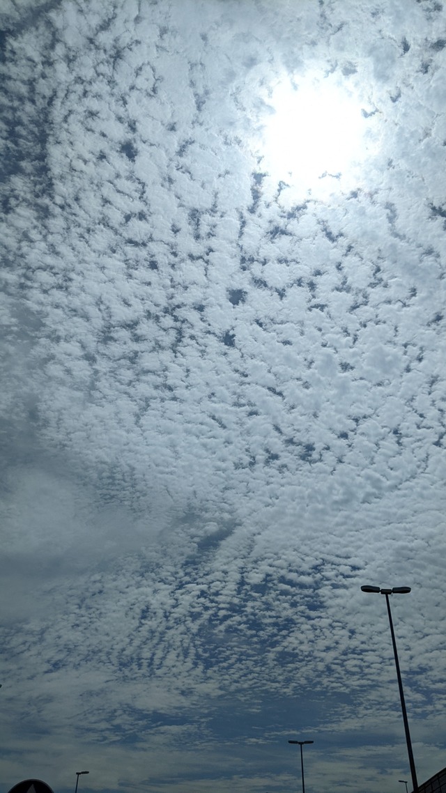 PXL_20240615_005118101