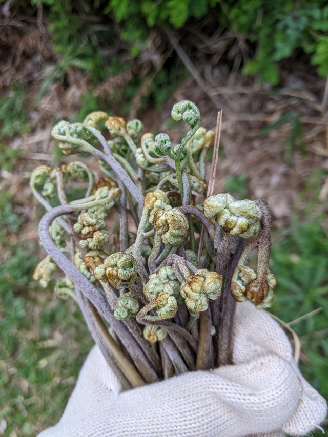 PXL_20230325_061506019