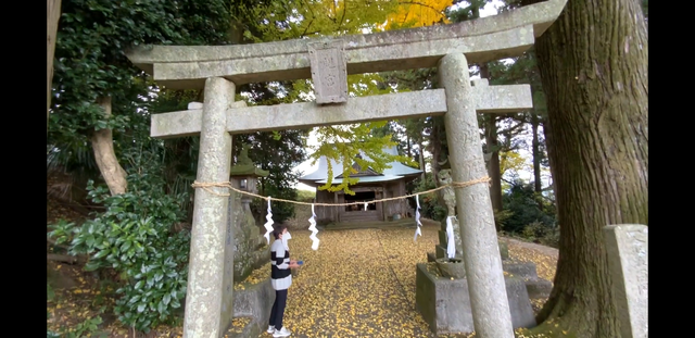 Screenshot_20211128-104244