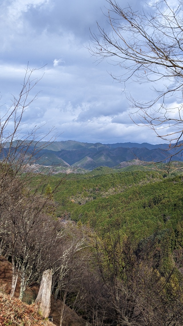 PXL_20241228_034151895