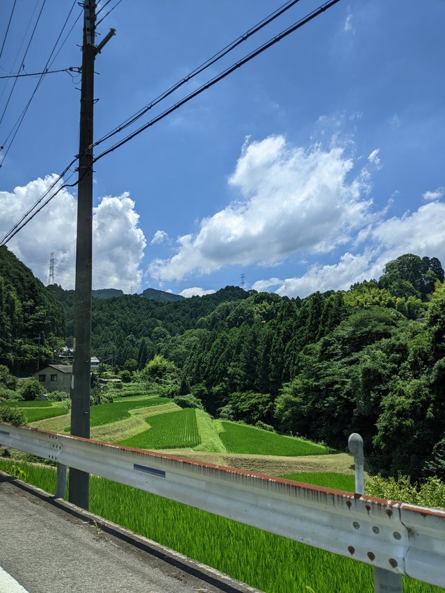 PXL_20210719_032250687