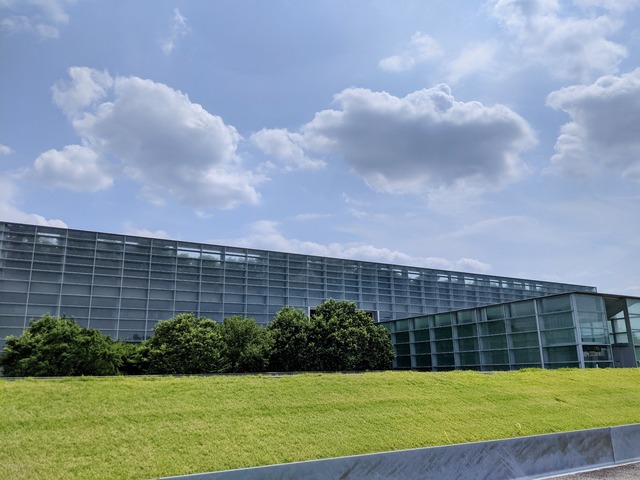 PXL_20210713_045715131~2