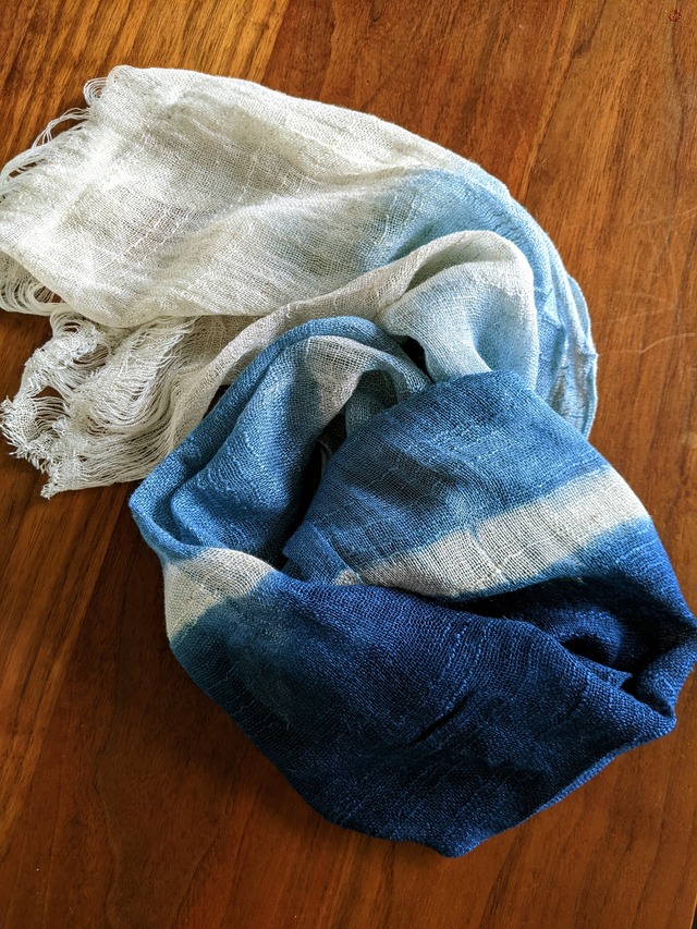 PXL_20230725_215509954~2