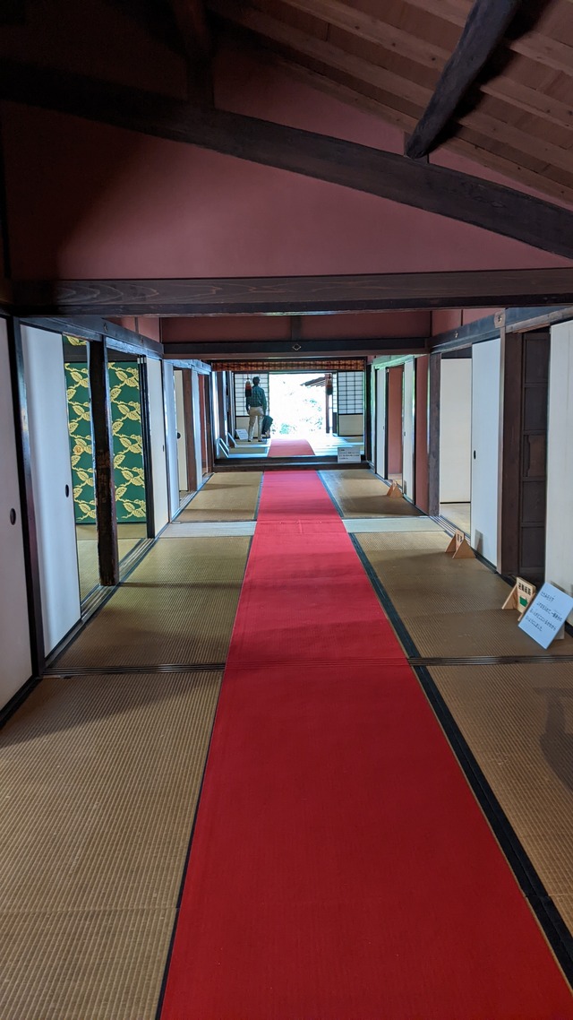 PXL_20231105_031857192