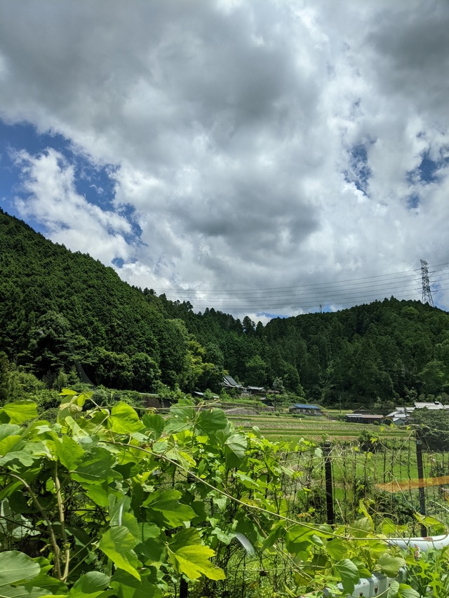 PXL_20210719_024300075
