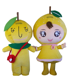 nashibeenashirin-SIT_038