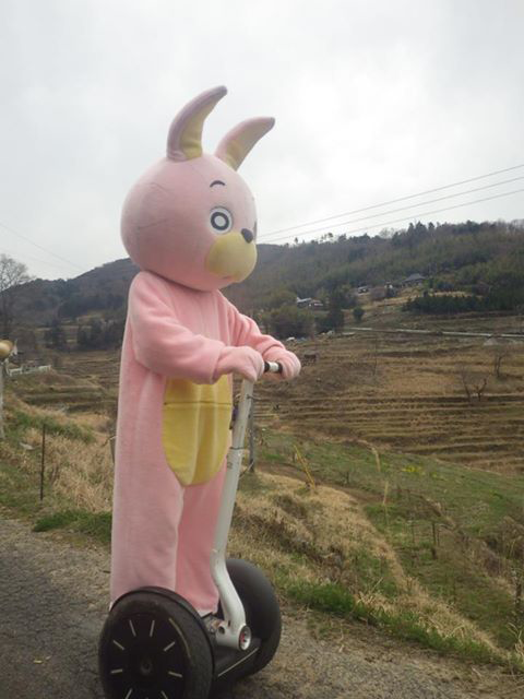 ゆるキャラ 桃色ウサヒ 山形県朝日町