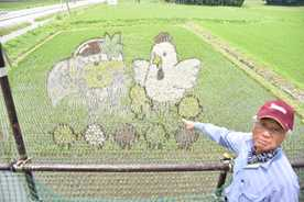 ゆるキャラ とちまるくん