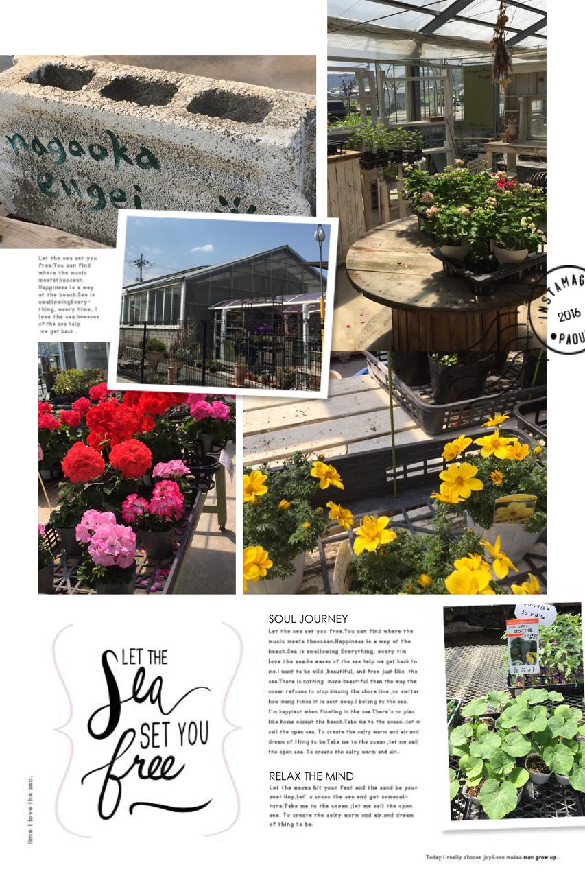 長岡京市の 長岡園芸さんへ 花と野菜の苗を 手作りリースのお店 教室 あこプランツ ブログ 京都 大原野