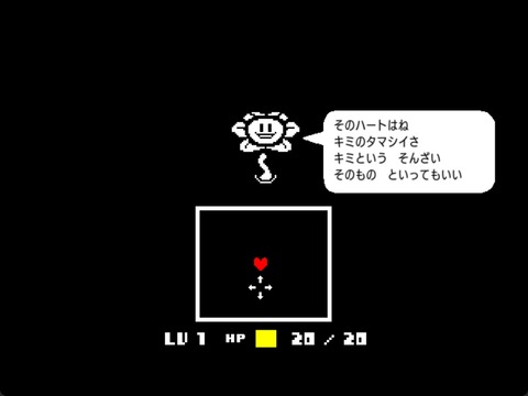 s-capture554