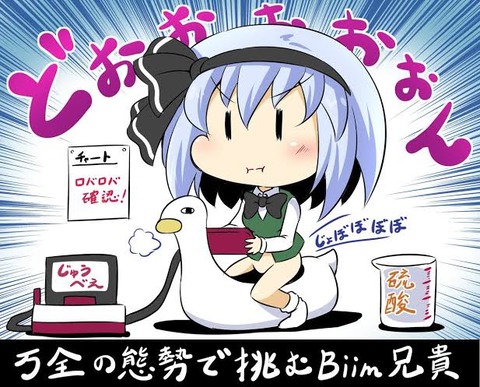Biim兄貴のrtaがまた見たい ゆるゲーマー遅報