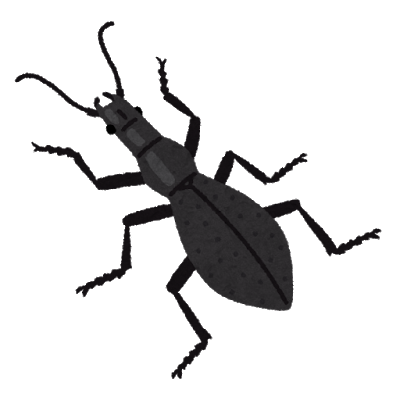 bug_maimaikaburi