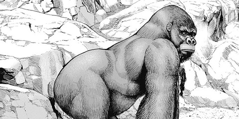 3270375685460608748-b2b172a7863a5273323d12471c613b05